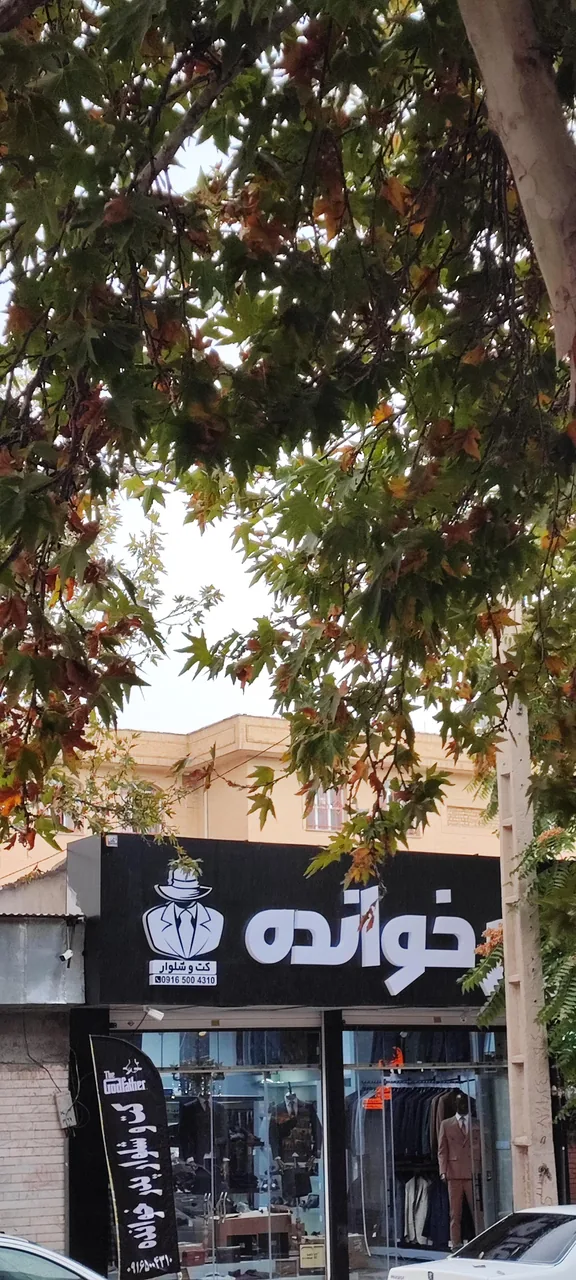 کت و شلوار پدرخوانده - تصویر 2