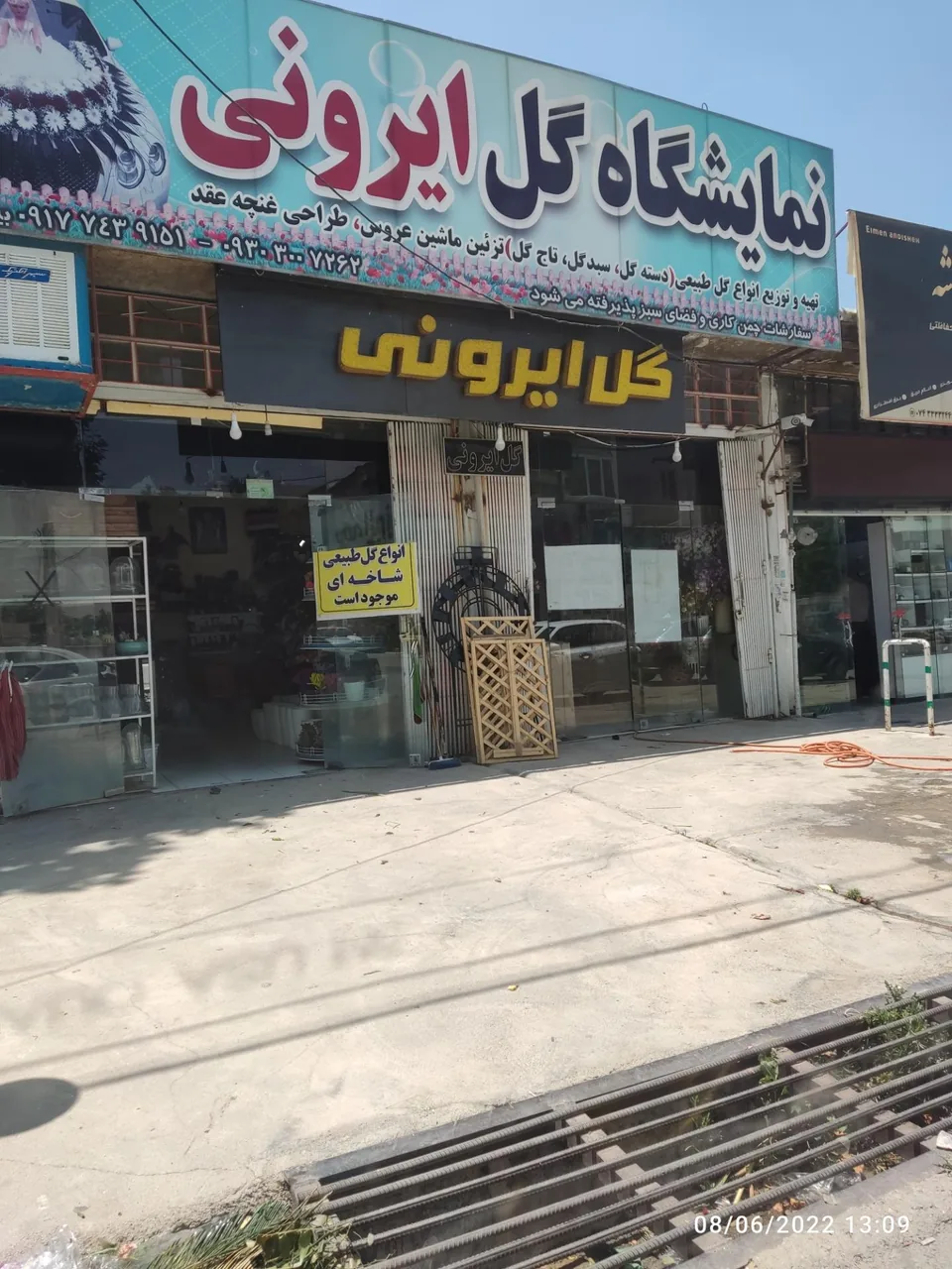 گل ایرونی - تصویر 2