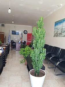 املاک برج