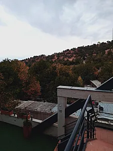 مجموعه غذایی آکو