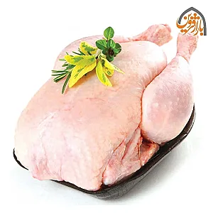 پروتئین زاگرس