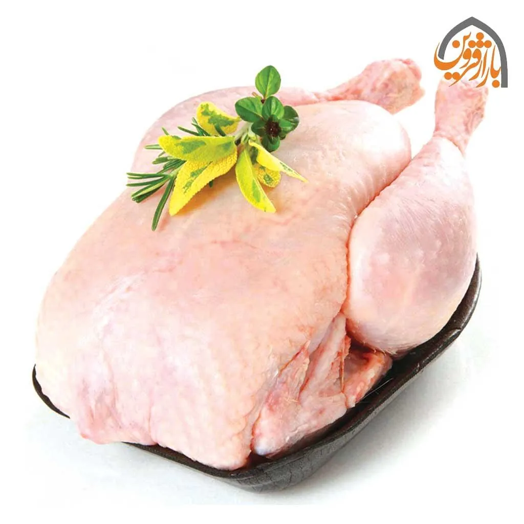 پروتئین زاگرس