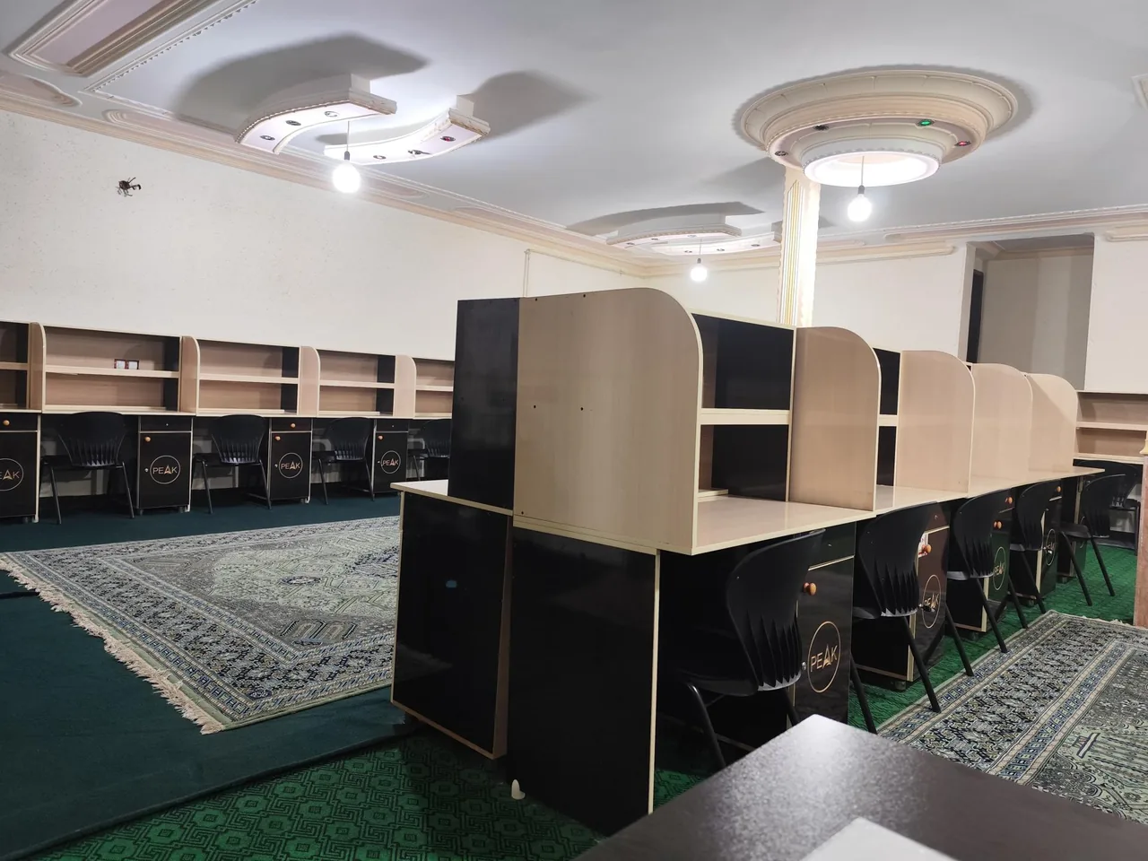 پانسیون مطالعاتی دخترانه پیک - تصویر 3