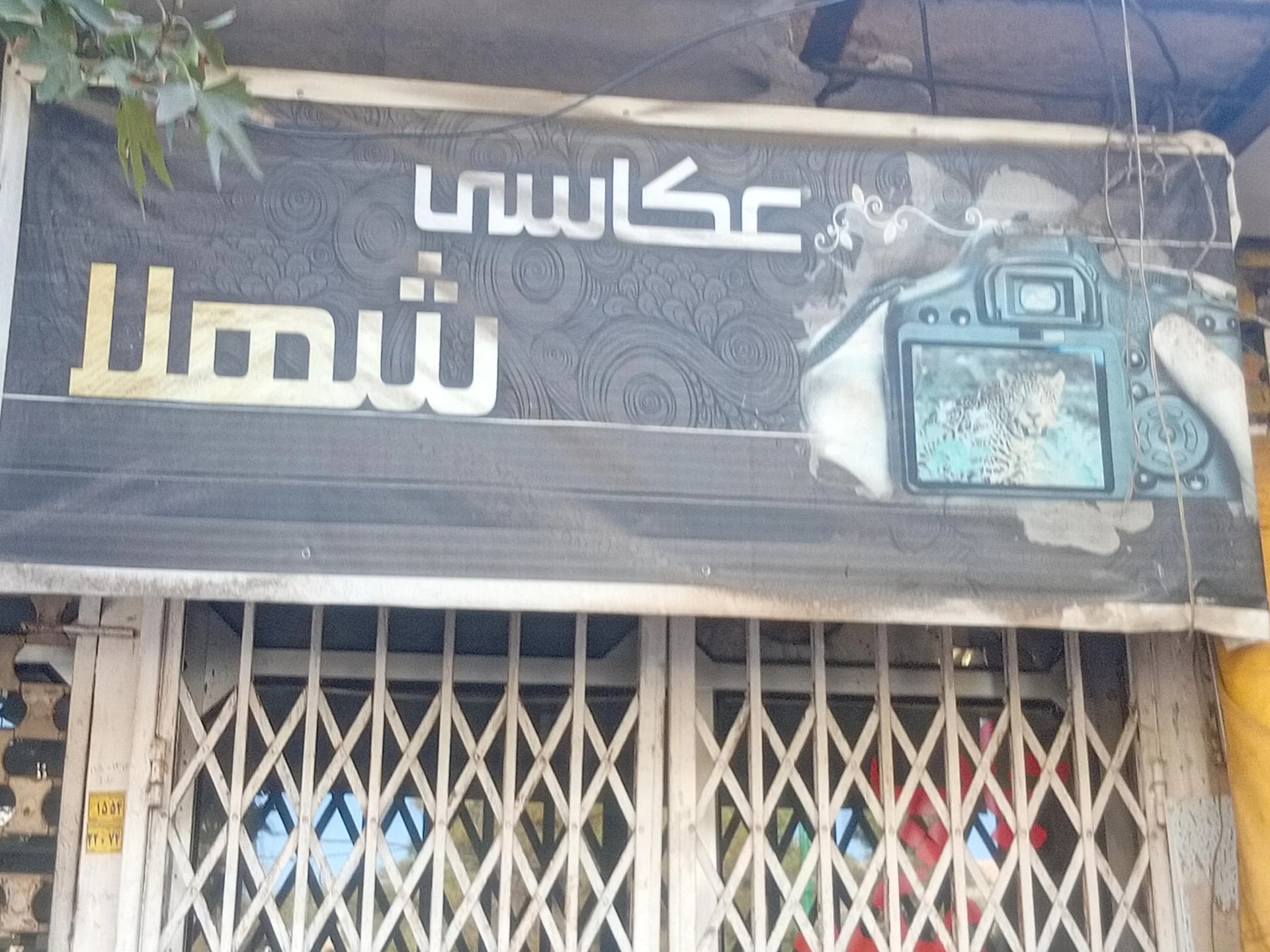 عکاسی کانن - تصویر 2
