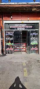 تزئینات اتومبیل همتیان