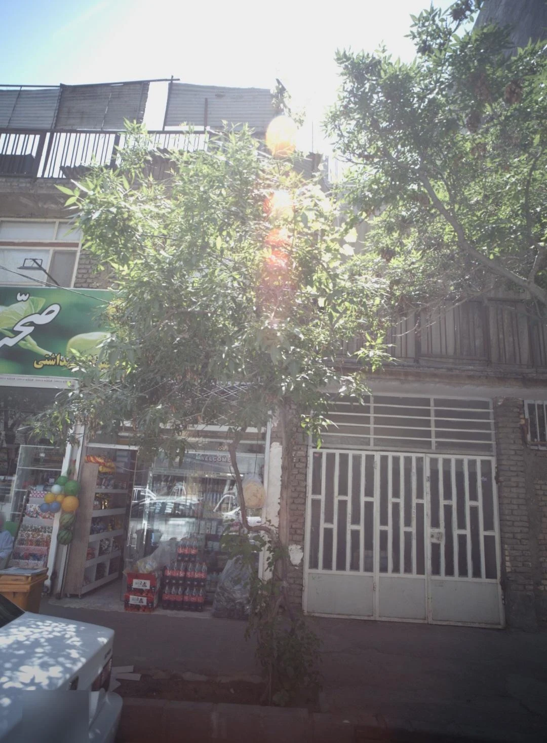 سوپر مارکت عجمی - سوپرمارکت در مشهد - تصویر 2