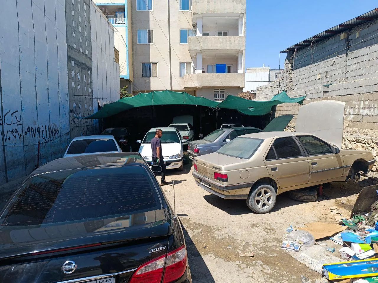 جلوبندی استاد زواره و استاد حمید پارسا - تصویر 2