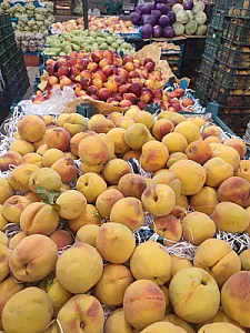 میوه فروشی کاک کاظم