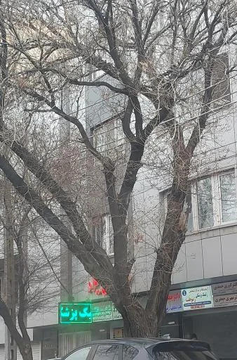 آزمایشگاه ژنتیک پزشکی ژنو طب