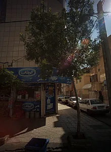 سوپر ثامن