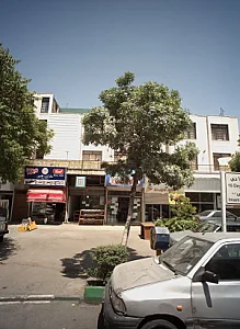 مارکت طنین