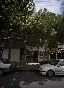 مواد غذایی فردوس