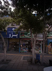 مارکت هانی
