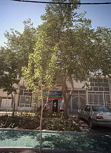 سوپر میثم