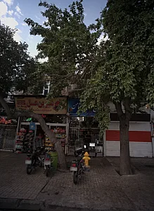 فروشگاه زارع