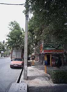 مواد غذایی علی
