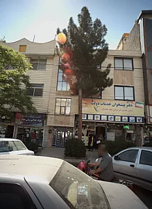 مواد غذایی ولی عصر