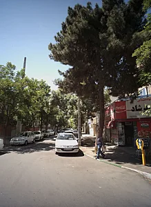 سوپر مواد غذایی گوهرشاد