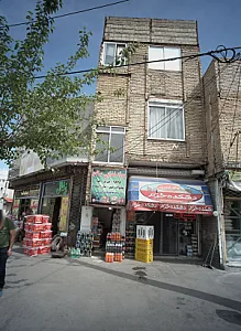 مواد غذایی صالح