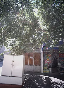 سوپر مارکت