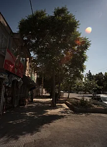 سوپر قاسمی