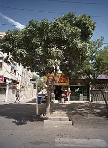 هایپر مارکت رضوانی