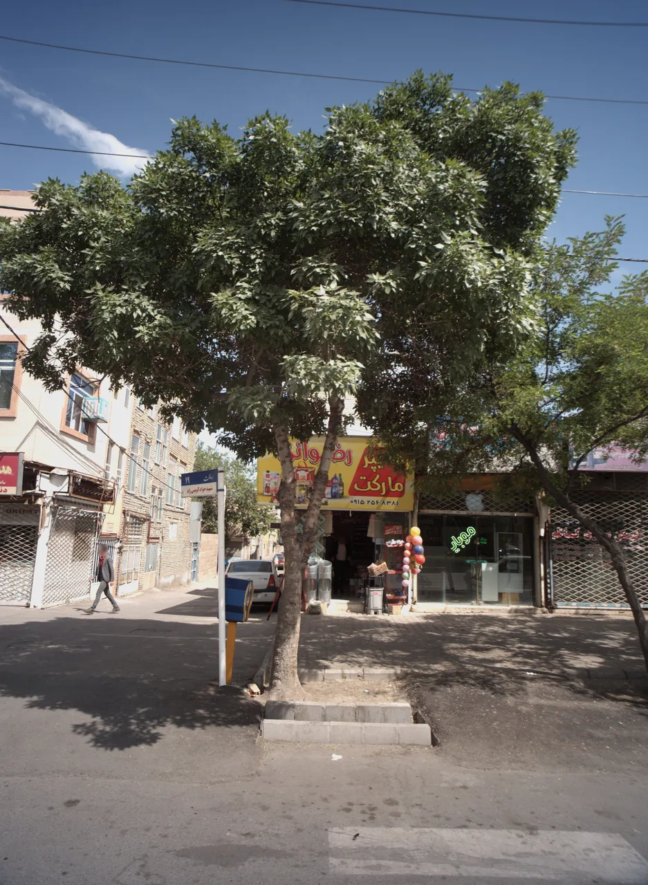 هایپر مارکت رضوانی