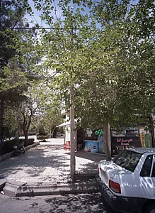 ادب مارکت