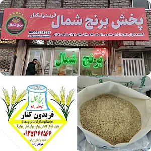 پخش برنج فریدونکنار شریعتی زاده
