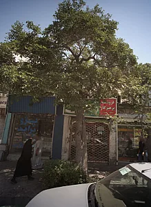 فروشگاه پرهیزکار