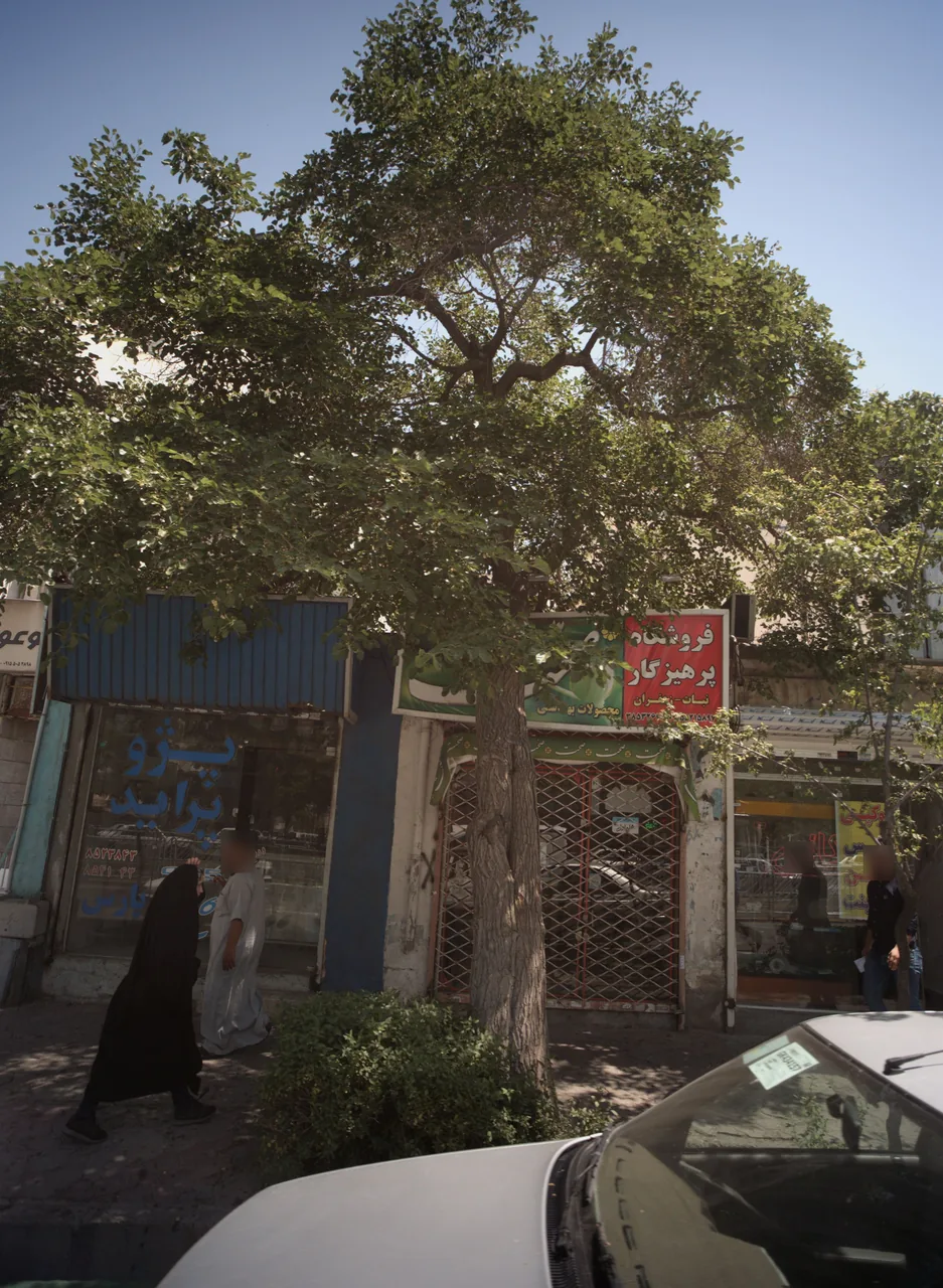 فروشگاه پرهیزکار
