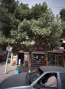 سوپر تک