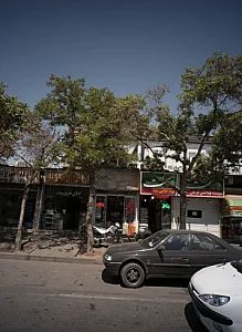 مواد غذایی سید