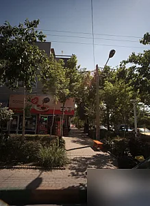 مارکت هانی