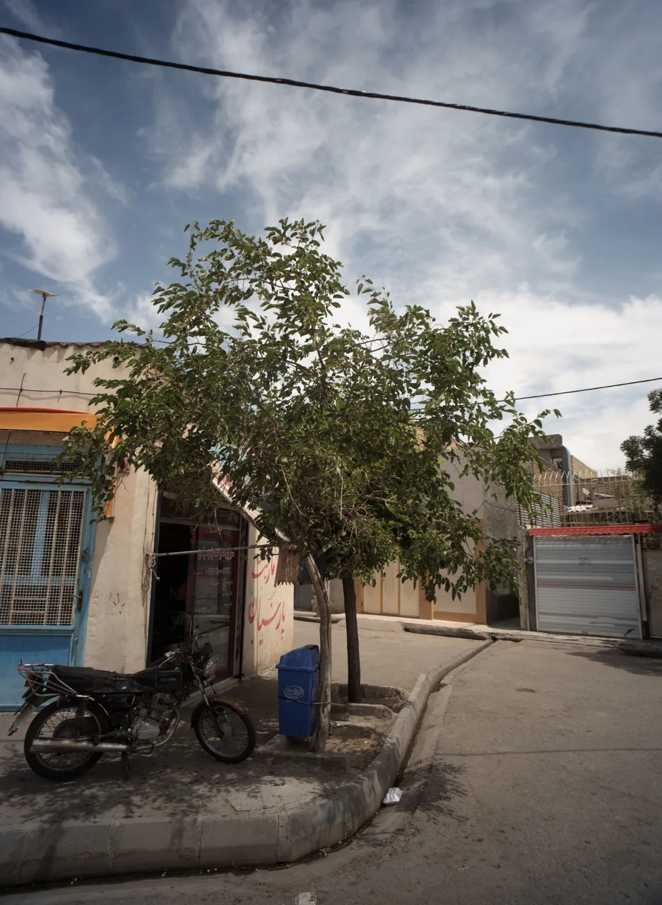 سوپرمارکت پارسیان - تصویر 3