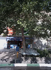 مینی هایپر مرتضی