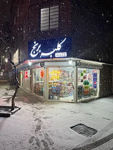 گروه مواد غذایی ضامن