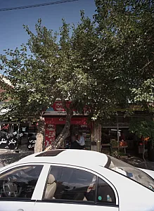 پروتئین نمونه