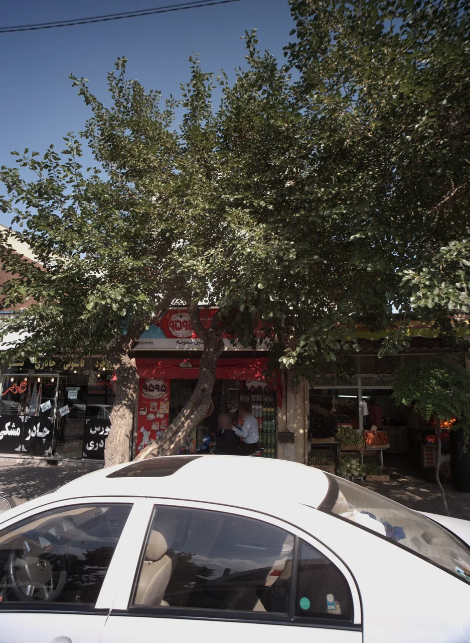 پروتئین نمونه