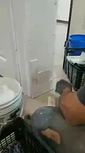 نصب و فروش سنگ آنتیک و آجر دکوراتیو