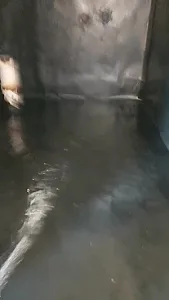 نصب و پخش ایزوگام حمیدیان