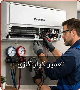 مسعود سرویس