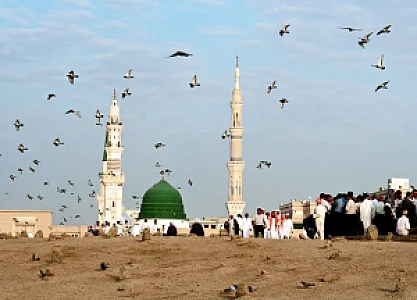 مترجم زبان عربی در منیریه