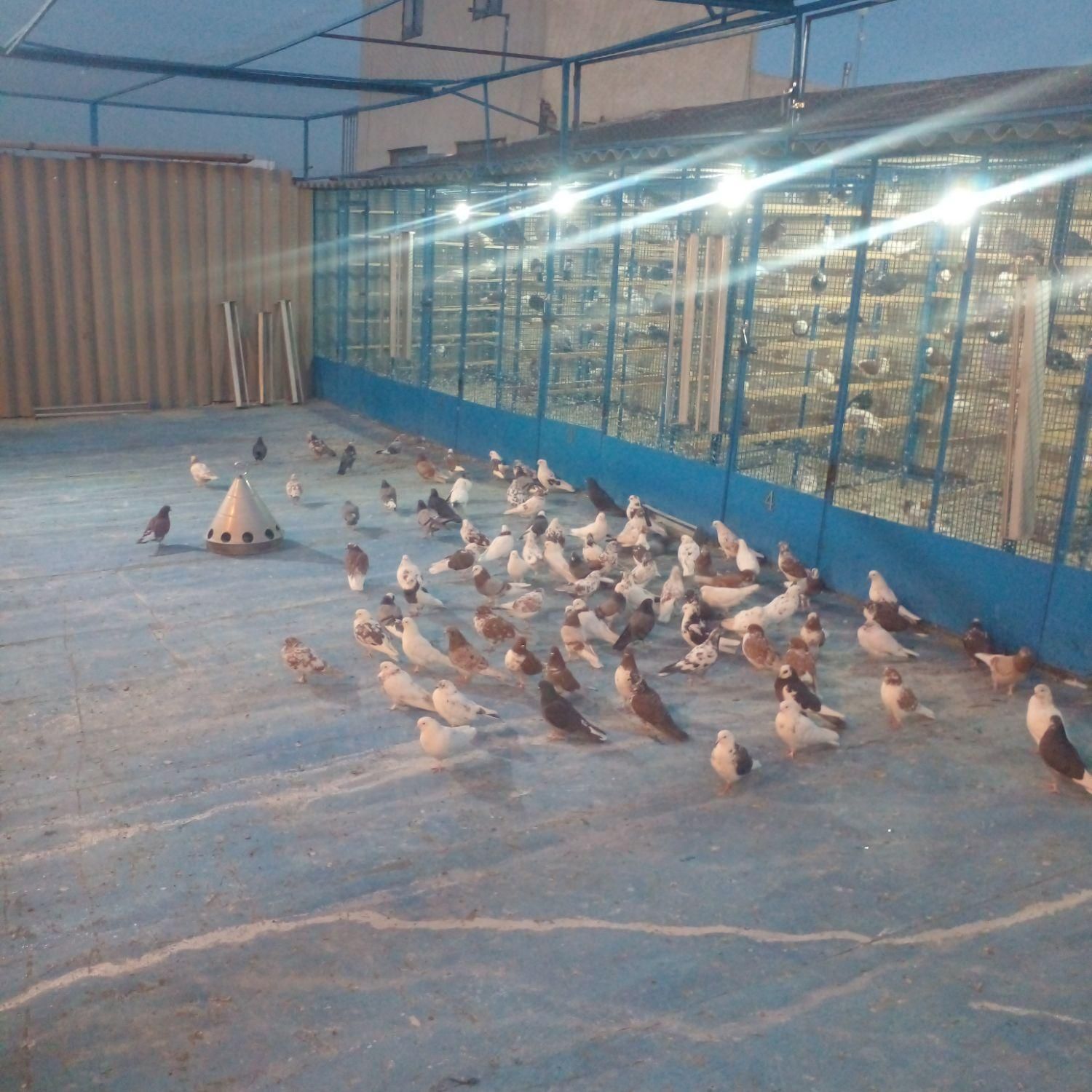 ساخت گنجه کفتر در تهرانسر - تصویر 5