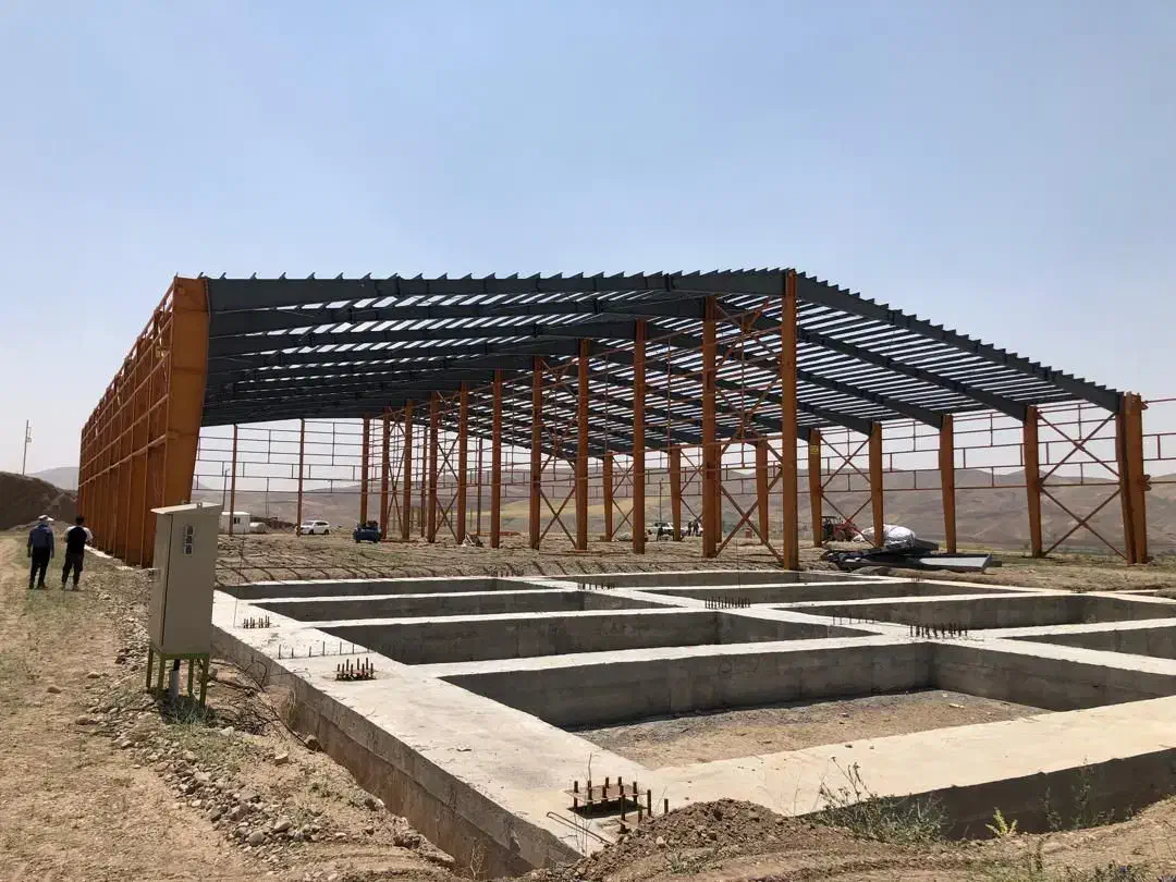 سینا سوله ایرانیان - تصویر 2
