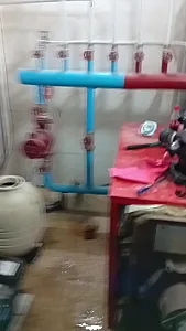 نگهداری و تعمیر استخر در پاسداران