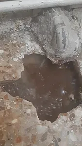 تأسیسات و نشت‌یابی در تهرانپارس شرقی