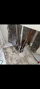 لوله‌بازکنی و نشت‌یابی درختی