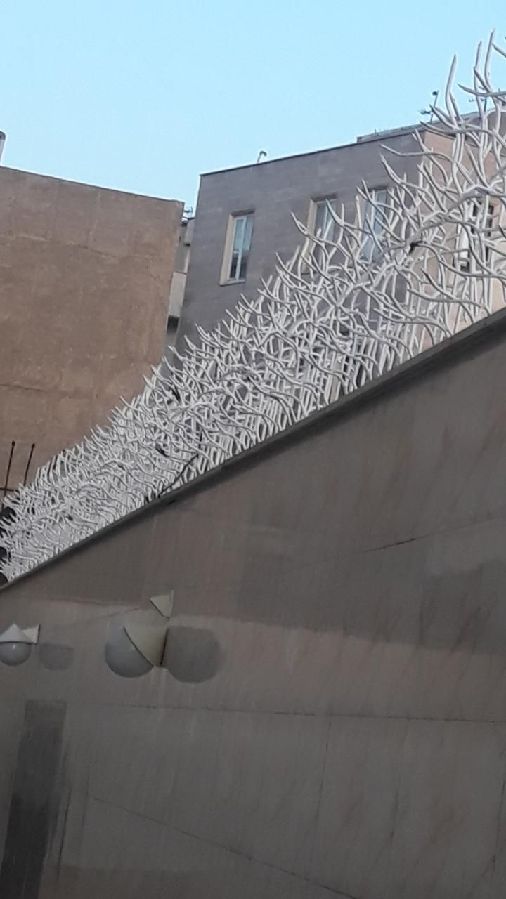 حفاظ شاخ‌گوزنی در شادآباد - تصویر 2