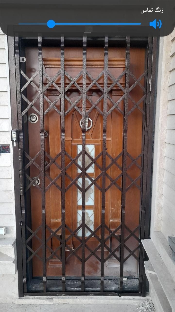 حفاظ شاخ‌گوزنی در شادآباد - تصویر 4